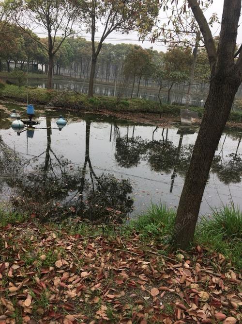 苏州抓黄鳝的地方?苏州收费钓场大全-图1 苏州抓黄鳝的地方?苏州收费钓场大全-图1
