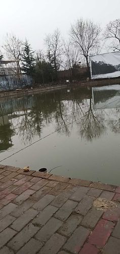 未央区钓鱼的地方?西安哪里有不收费钓鱼-图3 未央区钓鱼的地方?西安哪里有不收费钓鱼-图3