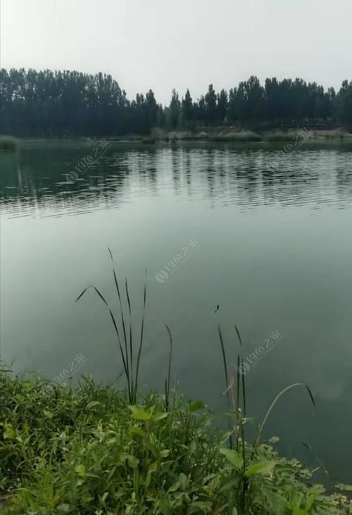 鹤壁钓鱼地方排名？易县罗村钓鱼收费吗