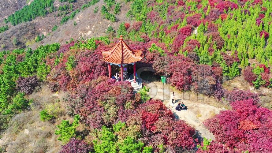 章丘那儿的鱼好吃?章丘桃花山公园收费吗-图2 章丘那儿的鱼好吃?章丘桃花山公园收费吗-图2