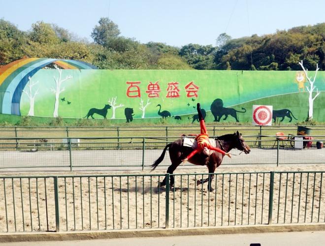 珍珠泉百兽盛会时间?珍珠泉马戏团收费-图3 珍珠泉百兽盛会时间?珍珠泉马戏团收费-图3