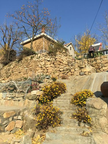 平邑大洼风景区大年初一收费吗?大洼风景区收费吗-图2 平邑大洼风景区大年初一收费吗?大洼风景区收费吗-图2