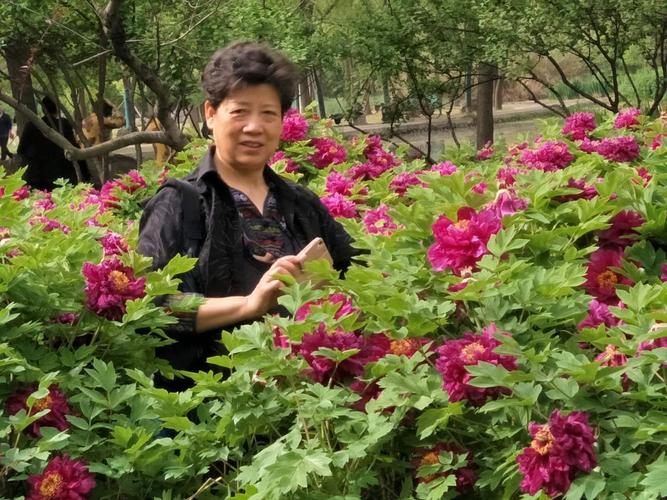 运河牡丹园怎么收费？大运河森林公园收费吗