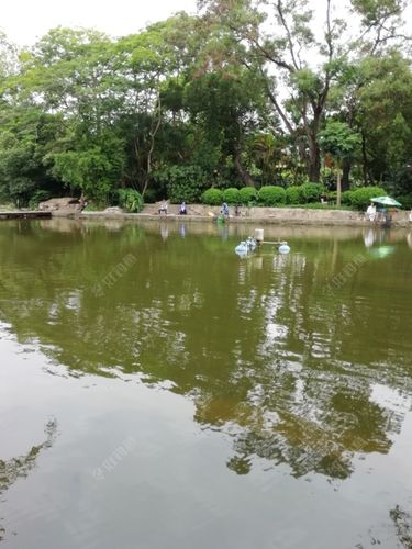 东湖公园可以钓鱼吗?东湖公园钓场怎么收费-图2 东湖公园可以钓鱼吗?东湖公园钓场怎么收费-图2