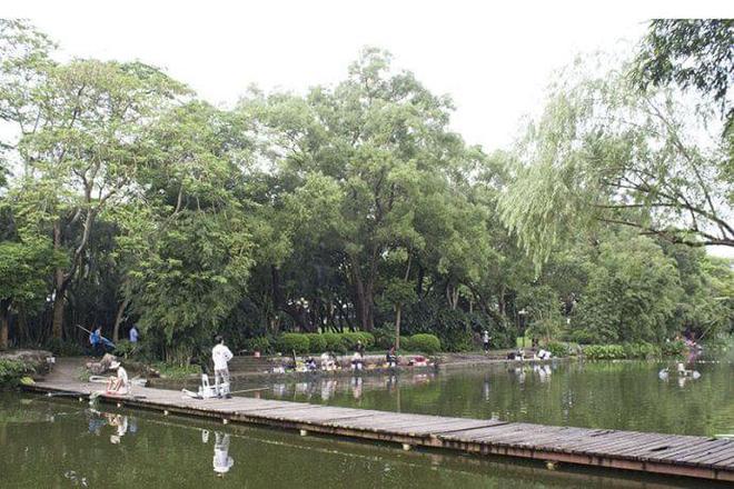 东湖公园可以钓鱼吗?东湖公园钓场怎么收费-图3 东湖公园可以钓鱼吗?东湖公园钓场怎么收费-图3