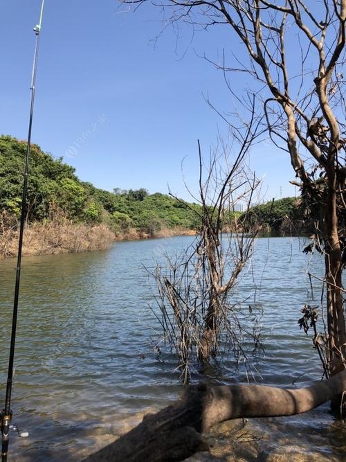 深圳公明哪个水库钓鱼不收费的?东莞黄牛埔水库收费-图3 深圳公明哪个水库钓鱼不收费的?东莞黄牛埔水库收费-图3