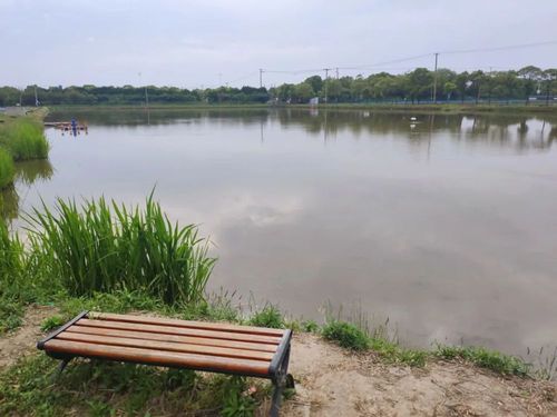 上海适合两个男人玩的地方？顾村收费钓鱼