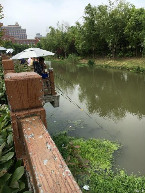 上海适合两个男人玩的地方？顾村收费钓鱼-图2