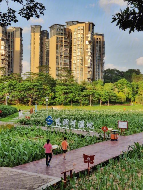 深圳龙华好玩的地方推荐？观澜河湿地公园收费吗