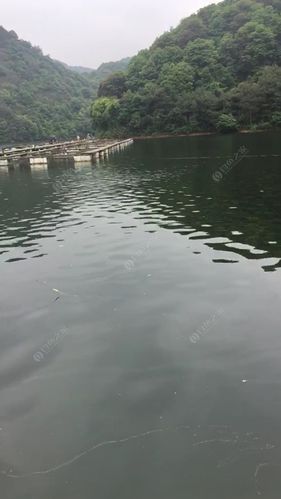 杭州有那些水库可以钓鱼？杭州水库钓鱼收费标准