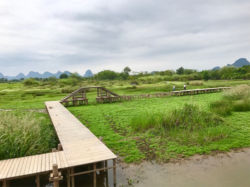 桂林会仙花海湿地门票多少?会仙湿地玩收费吗-图2 桂林会仙花海湿地门票多少?会仙湿地玩收费吗-图2