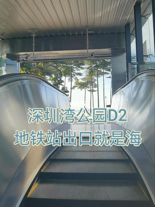 清湖地铁站到深圳湾公园怎么走?清湖地铁站停车收费吗-图2 清湖地铁站到深圳湾公园怎么走?清湖地铁站停车收费吗-图2