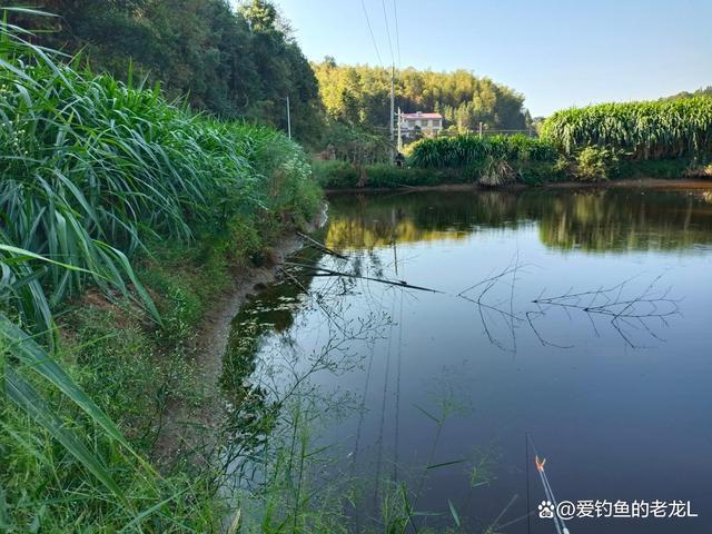广东哪里可以钓鱼,不收费的那种?钓大鱼?山水田园钓鱼收费-图2 广东哪里可以钓鱼,不收费的那种?钓大鱼?山水田园钓鱼收费-图2