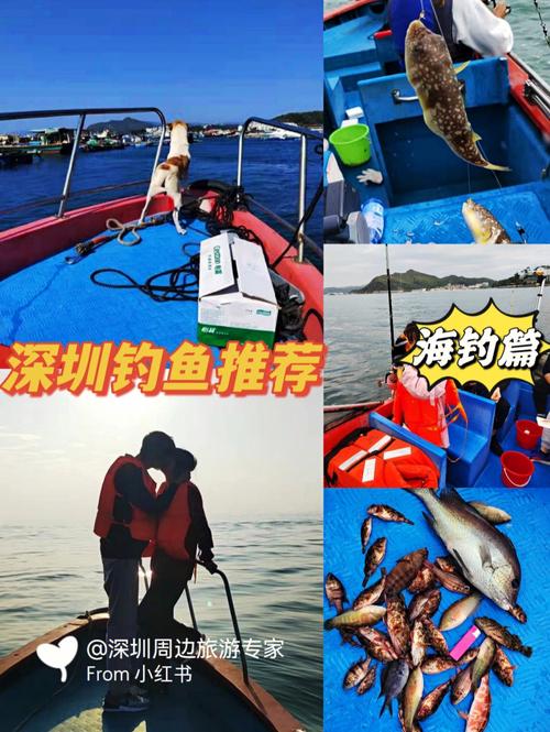 深圳鱼排钓鱼推荐？深圳钓鱼收费标准