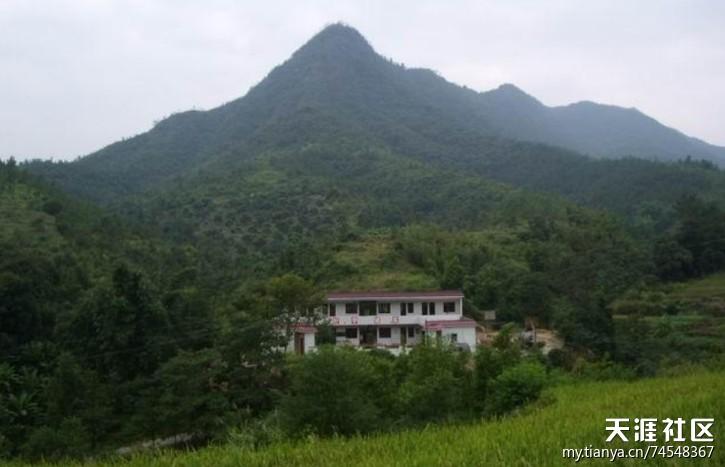 建造房子看山吗？看山风水收费-图3