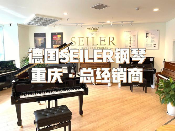 欧歌钢琴城的那个赛乐尔怎么样啊?深圳怎么就只有他那有买?深圳钢琴培训收费-图3 欧歌钢琴城的那个赛乐尔怎么样啊?深圳怎么就只有他那有买?深圳钢琴培训收费-图3