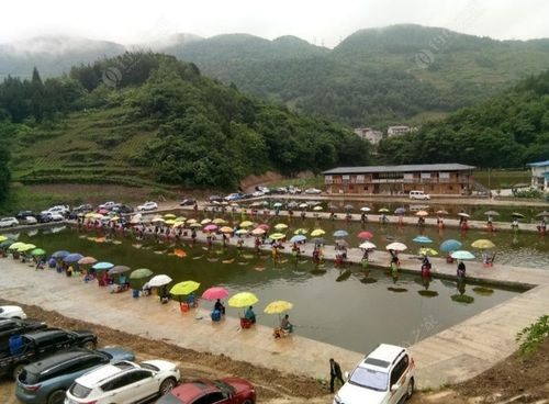20元一天钓鱼的地点?农家乐钓鱼收费标准-图3 20元一天钓鱼的地点?农家乐钓鱼收费标准-图3
