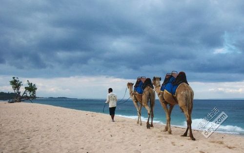 6.7月份适合去哪旅游？巴厘岛骆驼收费