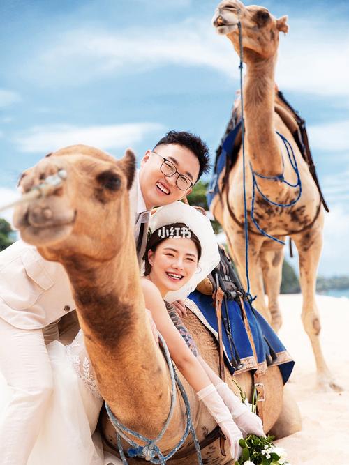 6.7月份适合去哪旅游?巴厘岛骆驼收费-图3 6.7月份适合去哪旅游?巴厘岛骆驼收费-图3