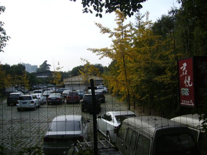 三圣花乡旅游区停车场停车费？成都幸福梅林怎样收费
