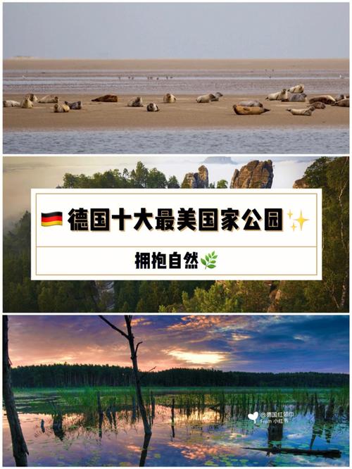 世界最大公园面积排名？德国公园是否收费标准