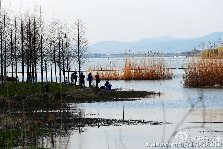 宁波十大冷门自驾游？东钱湖马山湿地收费吗