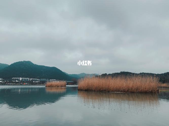 宁波十大冷门自驾游?东钱湖马山湿地收费吗-图2 宁波十大冷门自驾游?东钱湖马山湿地收费吗-图2