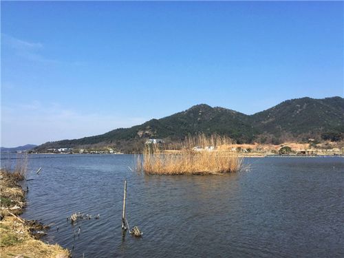 宁波十大冷门自驾游?东钱湖马山湿地收费吗-图3 宁波十大冷门自驾游?东钱湖马山湿地收费吗-图3