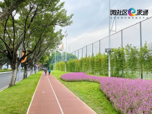 二沙岛体育公园跑道多长？二沙岛体育公园收费吗