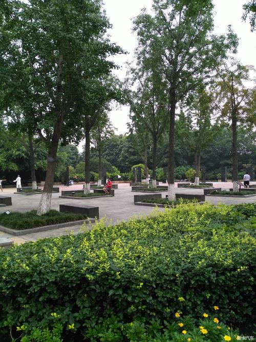 成都东湖公园是收费公园吗公园为什么收费