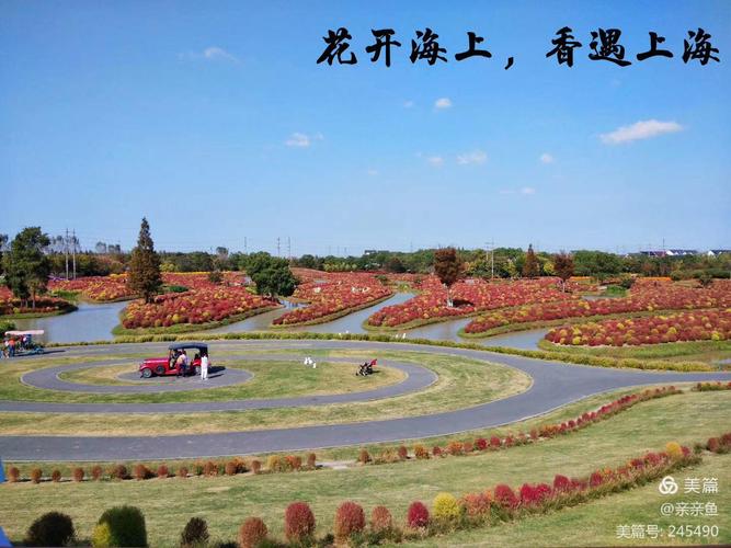 金山旅游景点?金山花开海上收费吗-图2 金山旅游景点?金山花开海上收费吗-图2