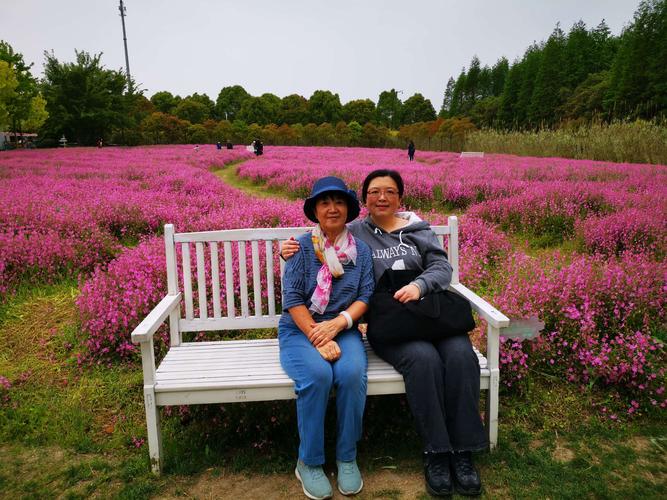 金山旅游景点?金山花开海上收费吗-图3 金山旅游景点?金山花开海上收费吗-图3