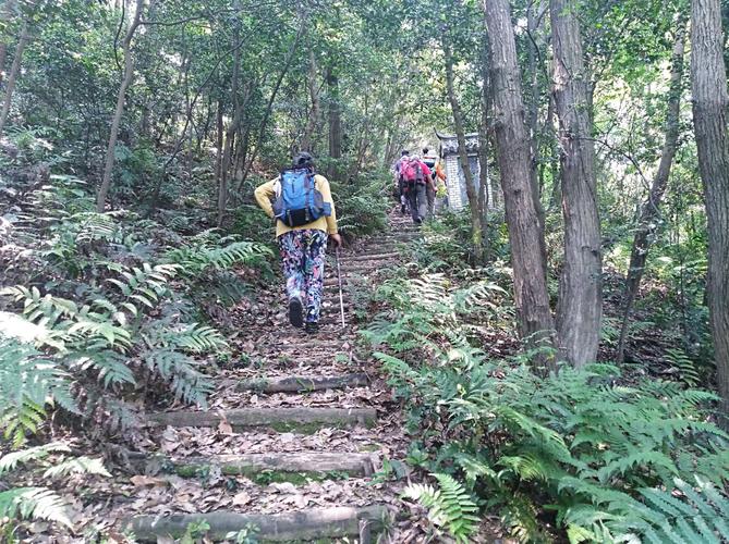 奉化青云古村旅游攻略?乐活岛攀岩收费吗-图2 奉化青云古村旅游攻略?乐活岛攀岩收费吗-图2