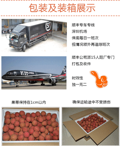 荔枝空运保鲜方法?荔枝 航空快递 收费-图2 荔枝空运保鲜方法?荔枝 航空快递 收费-图2
