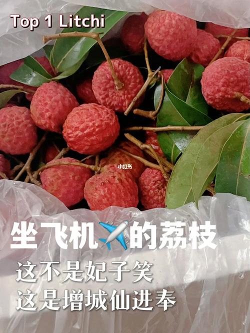 荔枝空运保鲜方法?荔枝 航空快递 收费-图3 荔枝空运保鲜方法?荔枝 航空快递 收费-图3