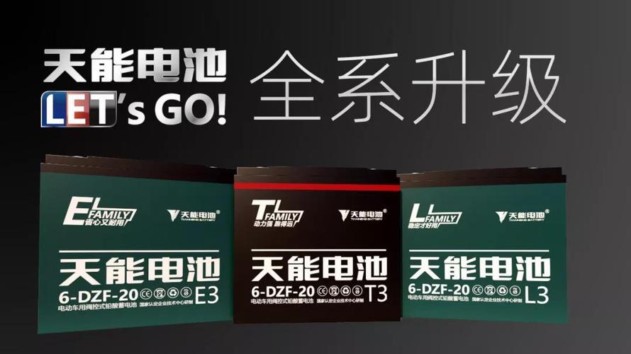 天能电池l型e型t型哪种好?量子号送餐收费-图3 天能电池l型e型t型哪种好?量子号送餐收费-图3