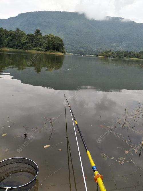 南昌有阴凉的钓鱼地方?绵阳白水湖钓鱼收费吗-图3 南昌有阴凉的钓鱼地方?绵阳白水湖钓鱼收费吗-图3