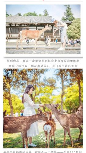 保定市鹿岛公园收费吗?日本的公园收费吗-图2 保定市鹿岛公园收费吗?日本的公园收费吗-图2