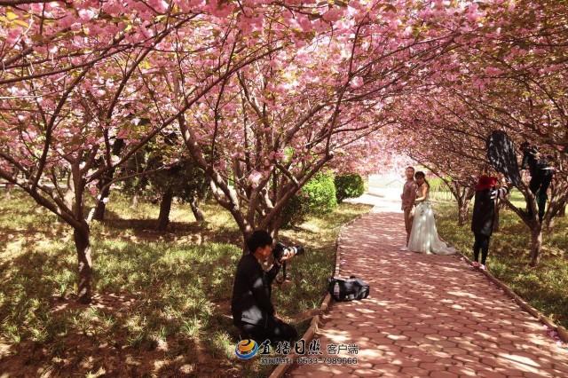 葡萄牙4月份气温?日照樱花园收费吗-图1 葡萄牙4月份气温?日照樱花园收费吗-图1