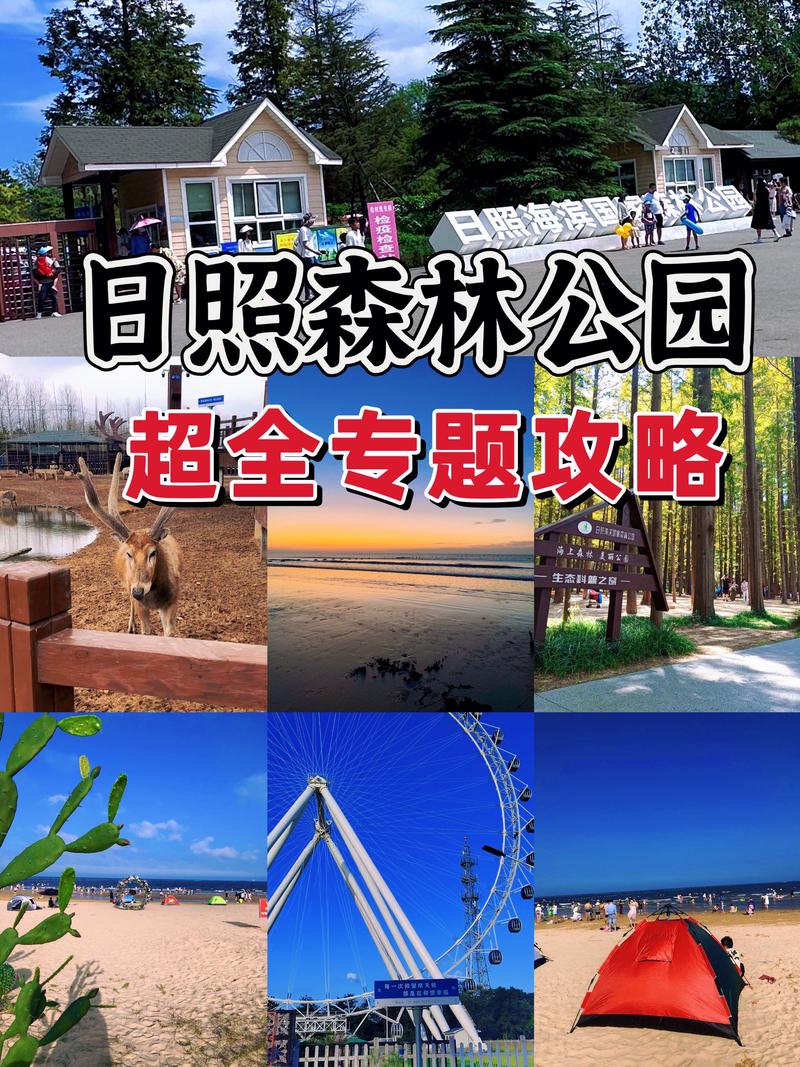 日照森林公园现在收费吗?森林公园 为什么收费-图2 日照森林公园现在收费吗?森林公园 为什么收费-图2