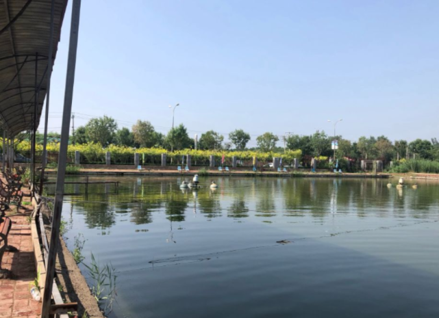 请问天津近郊有哪些钓鱼的好去处?天津市双街收费站-图1 请问天津近郊有哪些钓鱼的好去处?天津市双街收费站-图1