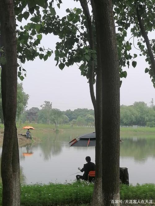 武汉森林公园钓鱼的地方?武汉森林公园汽车收费吗-图2 武汉森林公园钓鱼的地方?武汉森林公园汽车收费吗-图2