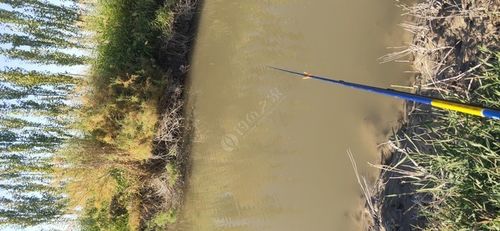 喀什钓鱼的地方有哪些？新疆喀什收费鱼塘