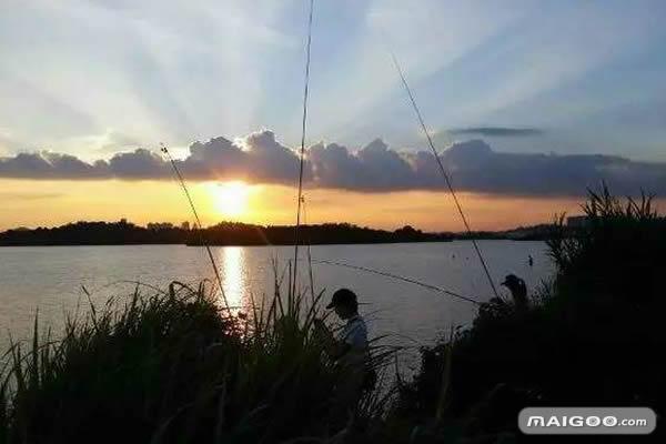 深圳松岗野钓免费最佳地点2021?燕川水库钓鱼收费吗-图2 深圳松岗野钓免费最佳地点2021?燕川水库钓鱼收费吗-图2