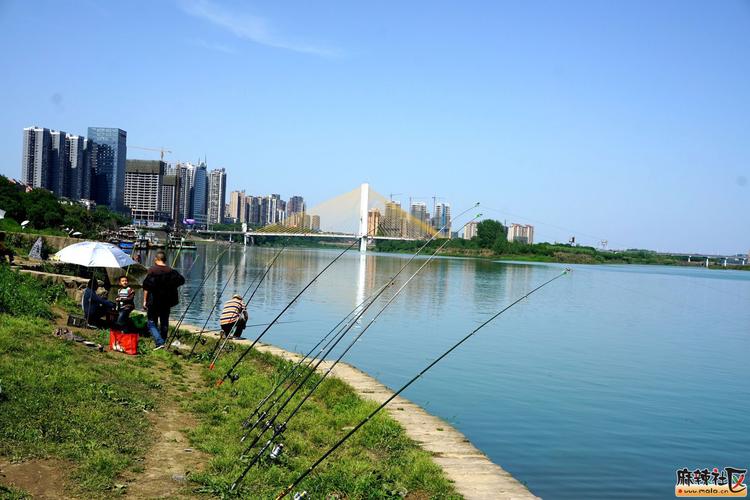 武汉南湖钓鱼有什么规定?一方天鹅湖钓鱼收费吗-图3 武汉南湖钓鱼有什么规定?一方天鹅湖钓鱼收费吗-图3