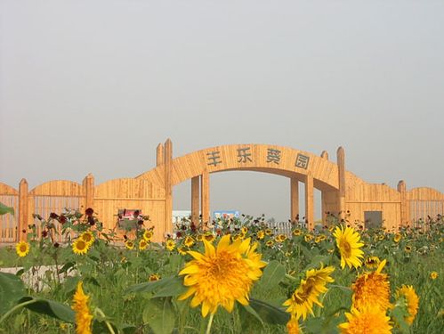 郑州附近免费的景区？郑州葵园开车进去收费