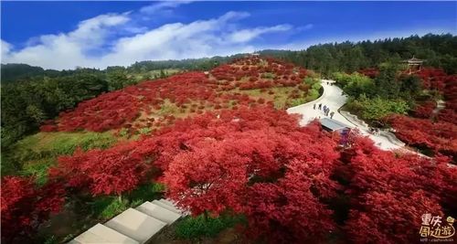 巴南五洲园最佳观景时间?重庆五州园要收费吗-图3 巴南五洲园最佳观景时间?重庆五州园要收费吗-图3