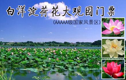 白洋淀景区40元门票含船票吗?荷花大观园 收费项目-图3 白洋淀景区40元门票含船票吗?荷花大观园 收费项目-图3