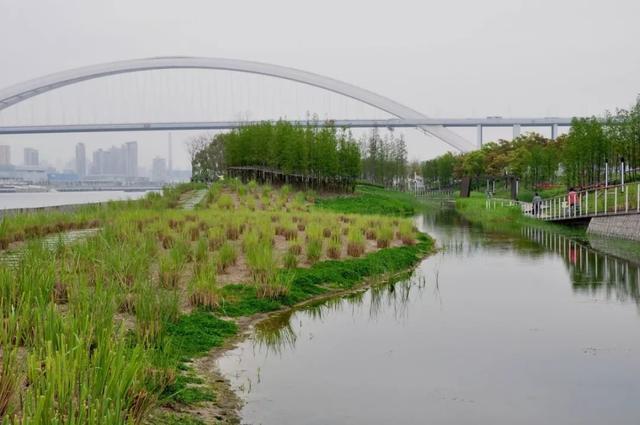 上海最值得去的湿地公园?后滩公园是否收费-图2 上海最值得去的湿地公园?后滩公园是否收费-图2