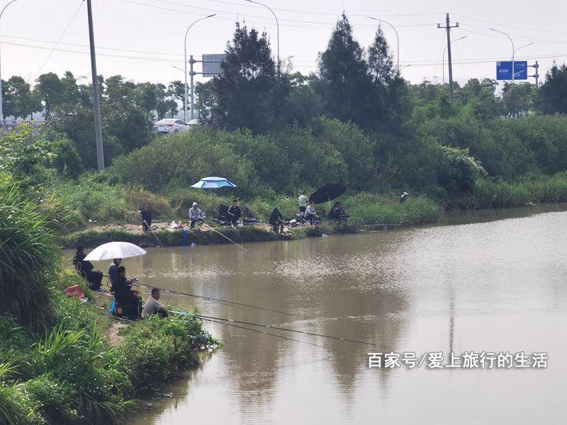 温岭野钓地点推荐?椒江哪里收费钓鱼的-图2 温岭野钓地点推荐?椒江哪里收费钓鱼的-图2
